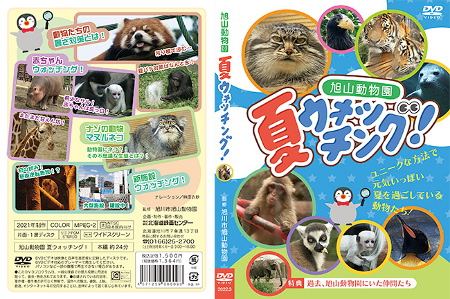 旭山動物園 夏ウォッチング！