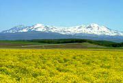 大雪山連峰