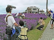 「旅のプレゼント」の取材