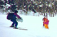 スキーカメラ